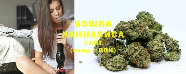 гидропоника Белокуриха
