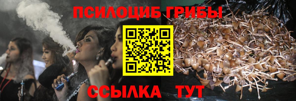 Галлюциногенные грибы прущие грибы Кушва
